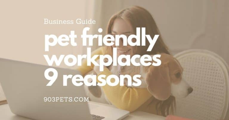 Allow Pets in the Workplace: 9 Policy Benefits For Businesses
