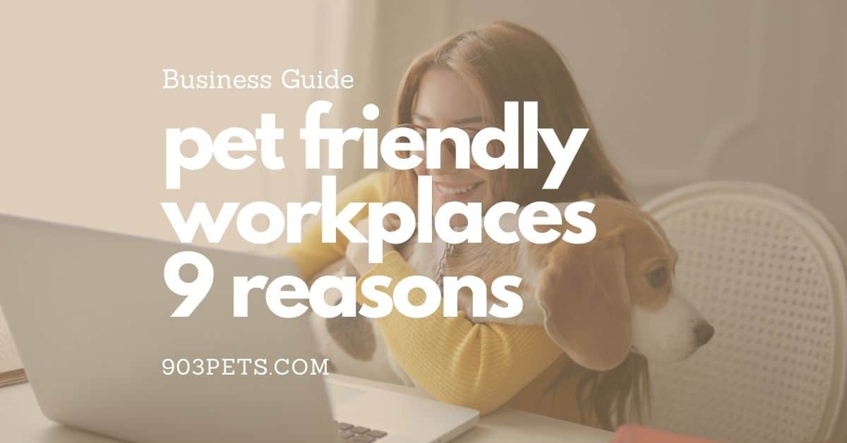 pet friendly workplaces - 9 reasons to allow pets in your business